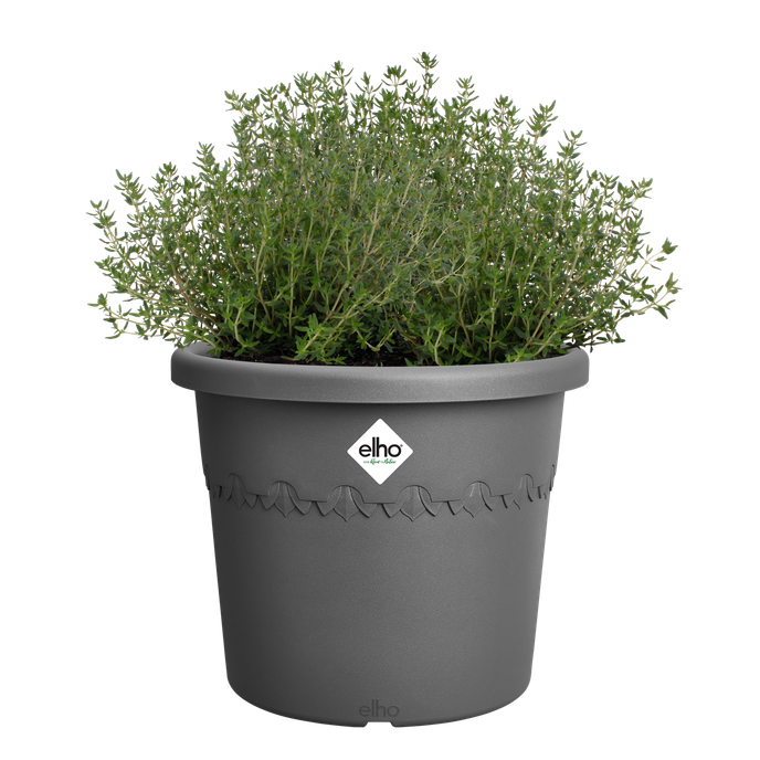 algarve cilindro 25cm anthracite